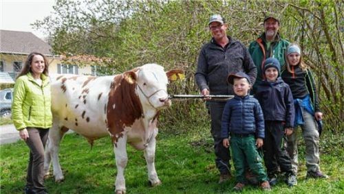 Drei Generationen der Familie Schöndorfer aus der Gemeinde Piding mit dem Zuchtstier Indianer. Mit auf dem Bild Andrea Hefner (links), die den Stier für die Besamungsstation Neustadt erworben hat.Foto  Rinderzuchtverband