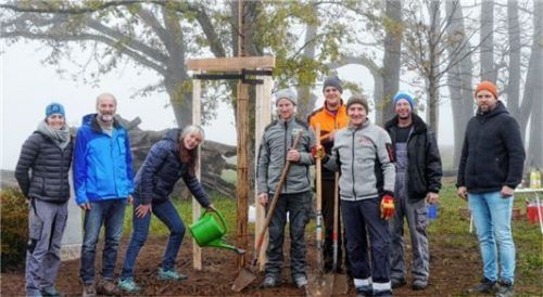 Ersatzpflanzung an der Haynger Steige mit (von links) Kreisfachberaterin Susanne Summerer, Kreisverbandsvorsitzendem Rainer Steidle, OGV-Vorsitzender Gertraud Polz, dem Vorstandschef und -vize des Radlervereins, Maxi Forstner und Christoph Huber, dem stellvertretenden Vorsitzenden des OGV, Martin Winkler, Grundstücksbesitzer Manfred Hell und Kreisfachberater Roman Pröll.