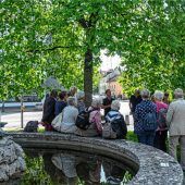 Von Baum zu Baum durch Kolbermoor