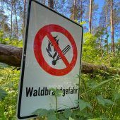 Hitze: Waldbrände und Unwetter drohen