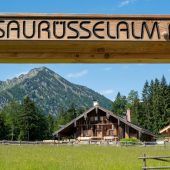 Schlechte Chancen für Alm-Kläger