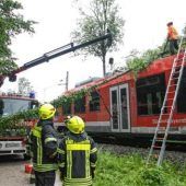 Baum behindert den Zugverkehr