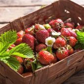 Beeren, die keine sind