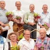 „Bienenwachs und mögliche Schadstoffe“