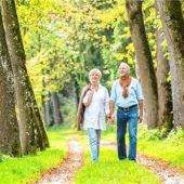 Im Wald die Batterien wieder aufladen