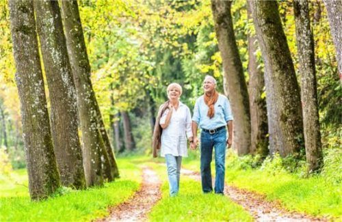 Bewegung im Wald trägt wesentlich zur physischen und mentalen Gesundheit bei.