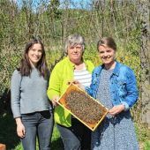 Wunderwelt der Bienen