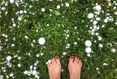 Golfballgroße Hagelkörner haben in diesem Garten in Flintsbach am Montagabend eingeschlagen. Foto Lagler