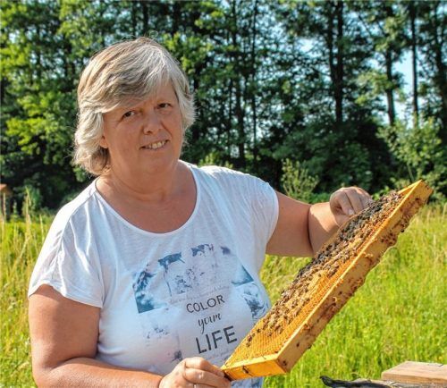 Hobbyimkerin Angela Sollinger bei der Kontrolle der Bienenstöcke.Foto Heinz