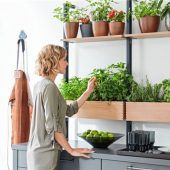 Nachhaltigkeit in der Küche