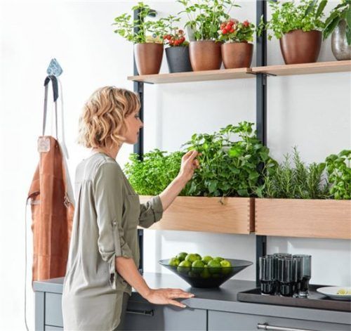 In einem Kräuterregal kann man Basilikum, Petersilie und Co. einfach selbst ziehen. Foto djd/KüchenTreff