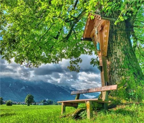 Kreuz am Fellerer mit Blick auf Aschau. Foto H.Reiter