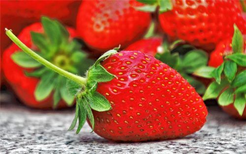 Locken jährlich viele Menschen auf die Felder zum Pflücken: Erdbeeren sind gesund, schmecken köstlich und bereichern im Sommer den Speiseplan.
