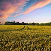 Vielfalt ist die Stärke der Land- und Forstwirtschaft