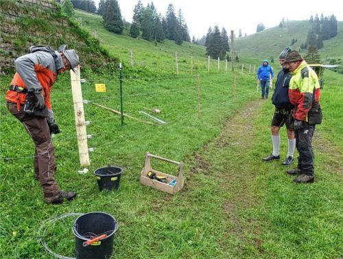 Wie wird ein Weidezaun errichtet? Diese und weitere Fragen rund um die Weidehaltung wurden unter anderem mit praktischen Vorführungen beantwortet. Foto AELF Holzkirchen