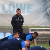 Löwen holen Mental-Coach