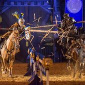 Die Ritter sind zurück!