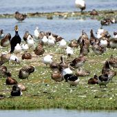 Was gibt’s denn da zu sehen?