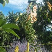 Ein versteckter Blickwinkel