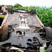 Auto landet in Maisfeld