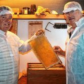 Von Biene und Honig fasziniert