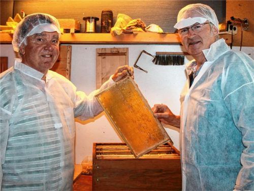 Die Imker Sepp Hermann und Georg Bachmayr bearbeiten eine Wachswand aus einem Bienenstock.Foto Heinz