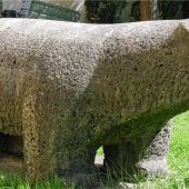 Eisbär im Grünen