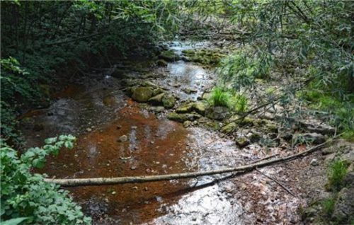 Die Wöhr führt derzeit kaum noch Wasser.