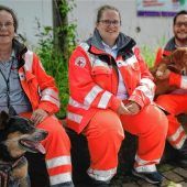 Wie tierische Retter Menschen suchen