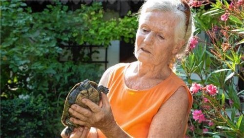 Handelt es sich bei der Schildkröte im Aschauer Naturbad um Gundi Mravlags männliche Wasserschildkröte? Mravlag vermisst eines ihrer Tiere bereits seit einem Monat. Foto Berger