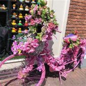 (Aus-)gelassen feiern in Amsterdam