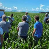 Versuche für Simsseeschutz gestartet