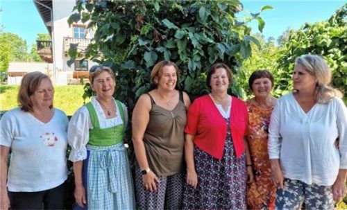 Neue Führung des VdK-Verbands: (von links) die Beisitzerinnen Hannelore Hantschel und Theresia Schrenk, Schriftführerin Edith Hierl, Zweite Vorsitzende Maria Strell, Beisitzerin Marianne Hilz und Vorsitzende Angela Bals.Foto re