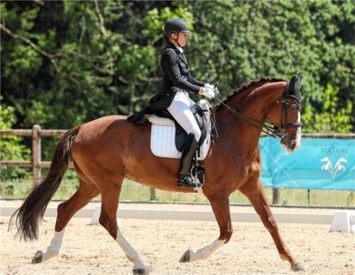 Renate Voglsang, hier auf Johnsons Danubia, holte sich einen Heimsieg.Foto Hans Weitz