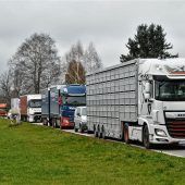 „Ein Schlag ins Gesicht fürs Stadtgebiet“