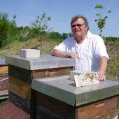 Der Bienen-Doktor