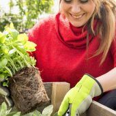 Vier Schichten zum Erfolg: Wie man ein Hochbeet richtig füllt