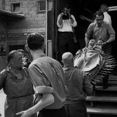 Vor 60 Jahren: Der Krimi um die Madonna