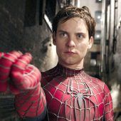 Diese Spinne seilt sich auch im Fernsehen und Kino ab