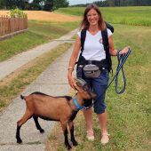 Wandern mit Ziegenbock