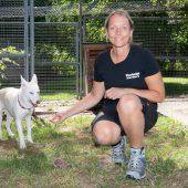 Haustiere aus Corona-Zeit füllen Tierheime