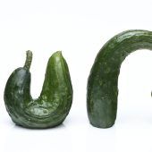 „Die Gurke darf so krumm sein, wie sie will“