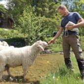 In Sorge um die Schafe