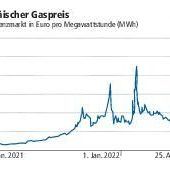 Der große Poker ums Gas
