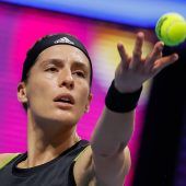 Petkovic beendet Karriere