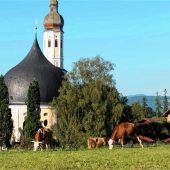 Spätsommer in Westerndorf