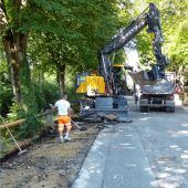 Begrünter Radweg im Rathauspark
