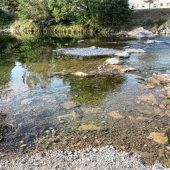 Weg mit dem Nadelöhr für Fische