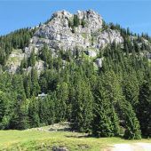 Impuls für den Klimaschutz