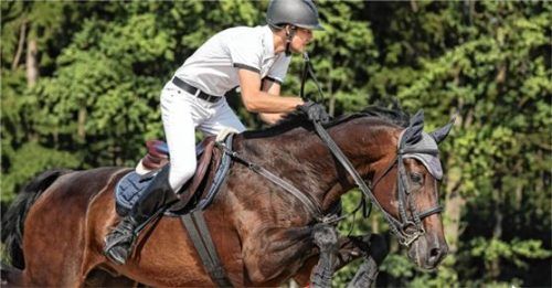 Das Turnier des RSV Gut Fasanenhöhe bietet spannende Sprung-Wettbewerbe (hier Anton Mayer vom RV Seehof) vor herrlicher Kulisse.Foto Weitz
